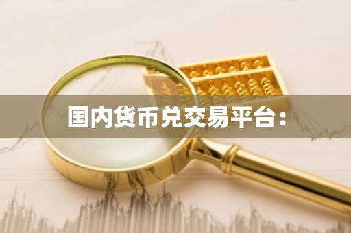 国内货币兑交易平台：