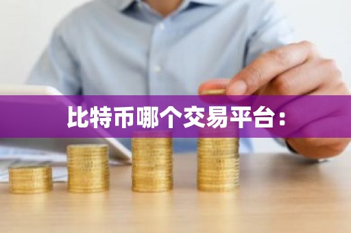 比特币哪个交易平台：
