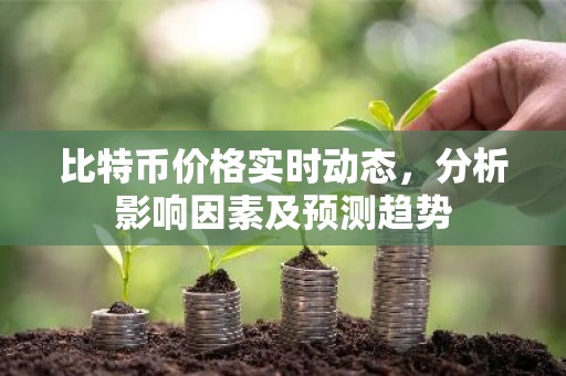 比特币价格实时动态，分析影响因素及预测趋势