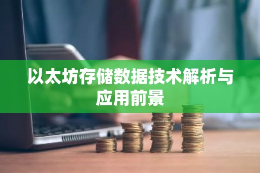 以太坊存储数据技术解析与应用前景