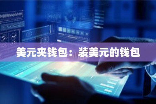 美元夹钱包：装美元的钱包