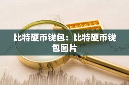 比特硬币钱包：比特硬币钱包图片