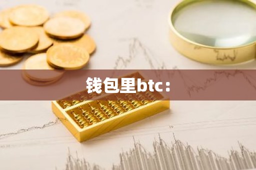 钱包里btc：