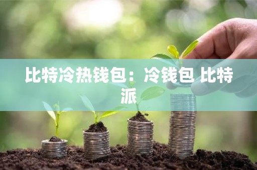 比特冷热钱包：冷钱包 比特派