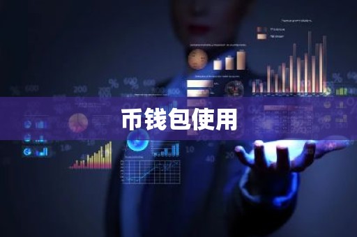 币钱包使用