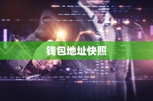 钱包地址快照