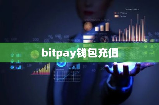 bitpay钱包充值