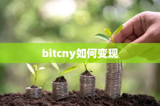 bitcny如何变现