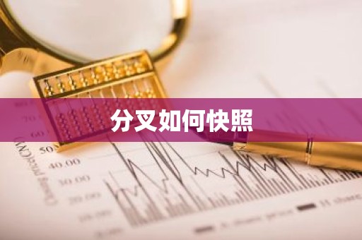 分叉如何快照