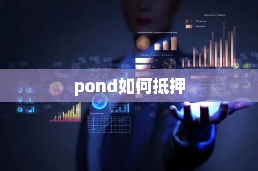 pond如何抵押