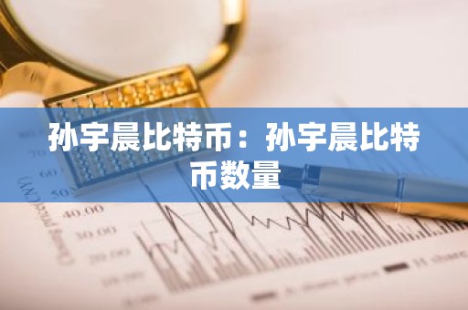 孙宇晨比特币：孙宇晨比特币数量