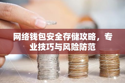 网络钱包安全存储攻略，专业技巧与风险防范