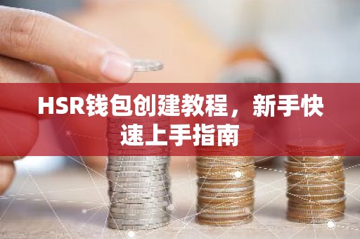 HSR钱包创建教程，新手快速上手指南