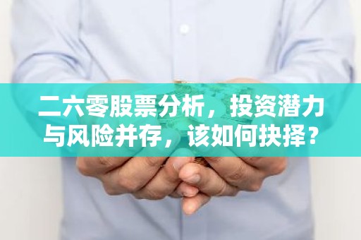 二六零股票分析，投资潜力与风险并存，该如何抉择？