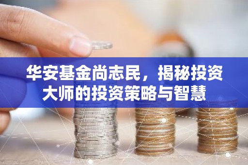 华安基金尚志民，揭秘投资大师的投资策略与智慧