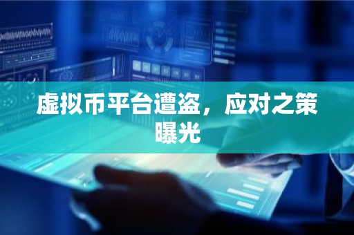 虚拟币平台遭盗，应对之策曝光