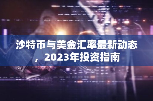 沙特币与美金汇率最新动态，2023年投资指南