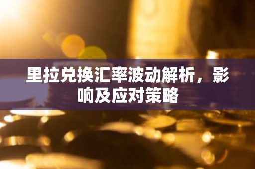 里拉兑换汇率波动解析，影响及应对策略