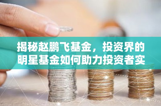 揭秘赵鹏飞基金，投资界的明星基金如何助力投资者实现财富增值？