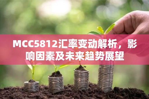 MCC5812汇率变动解析，影响因素及未来趋势展望