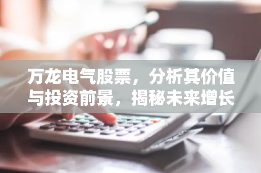 万龙电气股票，分析其价值与投资前景，揭秘未来增长潜力！