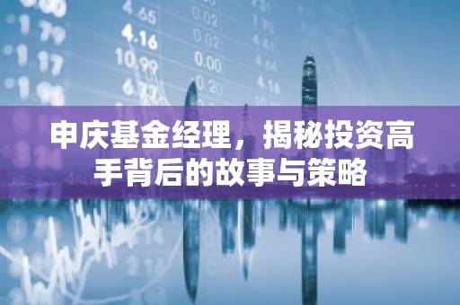 申庆基金经理，揭秘投资高手背后的故事与策略