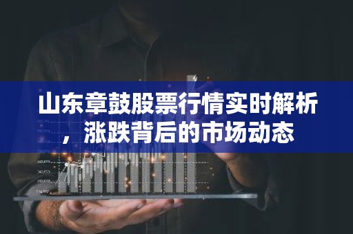 山东章鼓股票行情实时解析，涨跌背后的市场动态