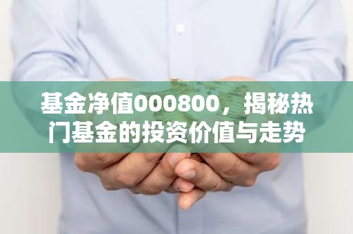 基金净值000800，揭秘热门基金的投资价值与走势