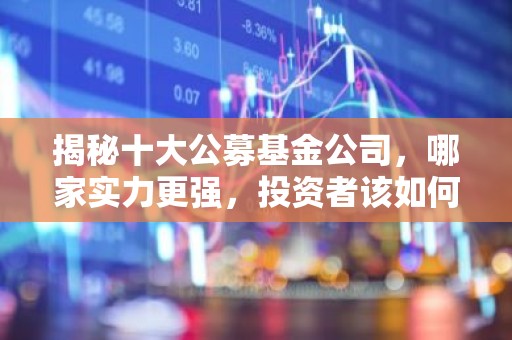 揭秘十大公募基金公司，哪家实力更强，投资者该如何选择？