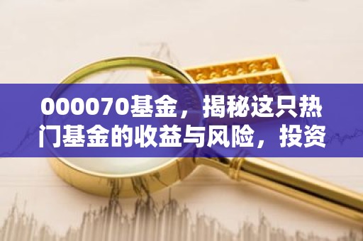 000070基金，揭秘这只热门基金的收益与风险，投资前必看！