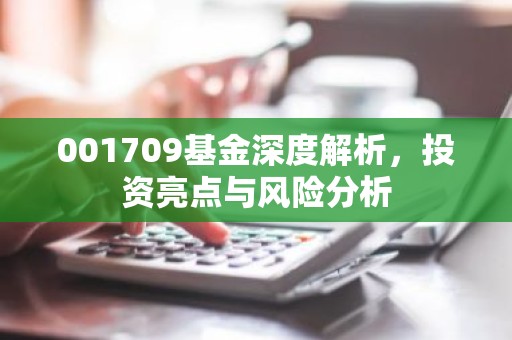 001709基金深度解析，投资亮点与风险分析