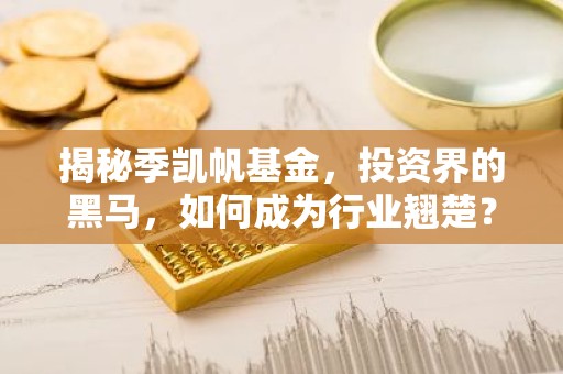 揭秘季凯帆基金，投资界的黑马，如何成为行业翘楚？