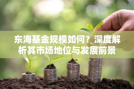 东海基金规模如何？深度解析其市场地位与发展前景