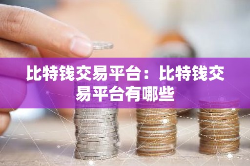比特钱交易平台：比特钱交易平台有哪些