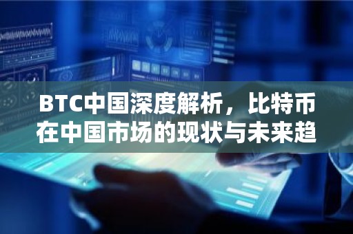 BTC中国深度解析，比特币在中国市场的现状与未来趋势