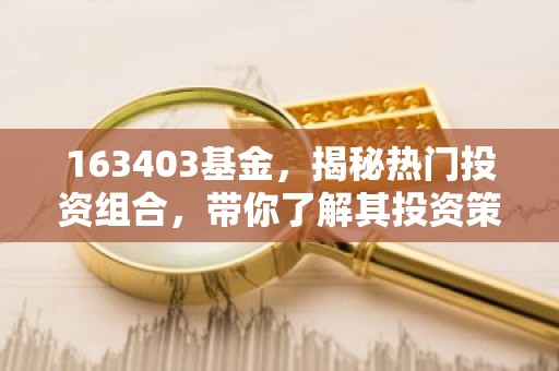 163403基金，揭秘热门投资组合，带你了解其投资策略与收益表现