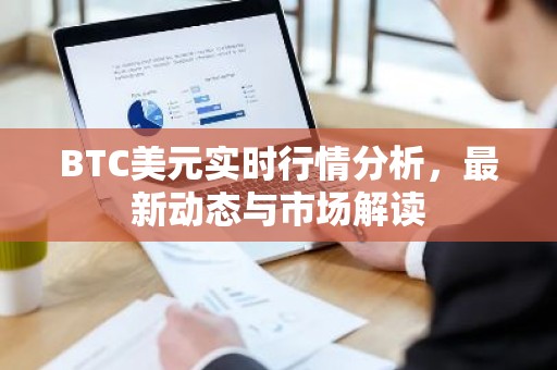 BTC美元实时行情分析，最新动态与市场解读