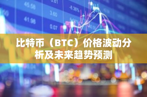 比特币（BTC）价格波动分析及未来趋势预测
