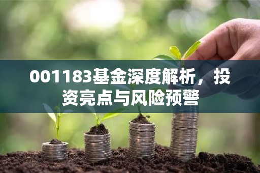 001183基金深度解析，投资亮点与风险预警