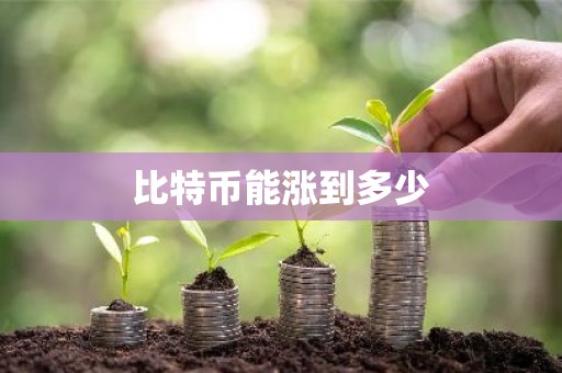 比特币能涨到多少