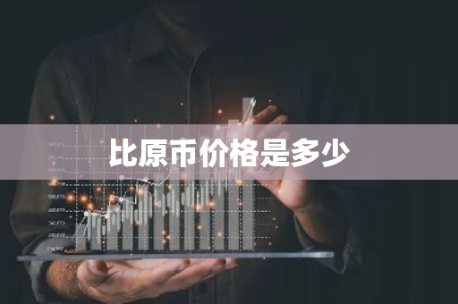 比原币价格是多少