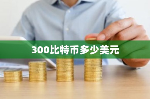 300比特币多少美元