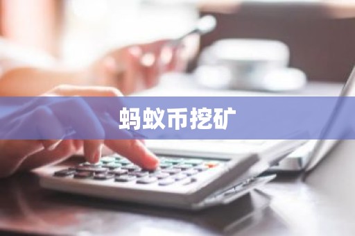 蚂蚁币挖矿