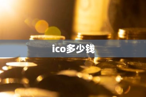 ico多少钱