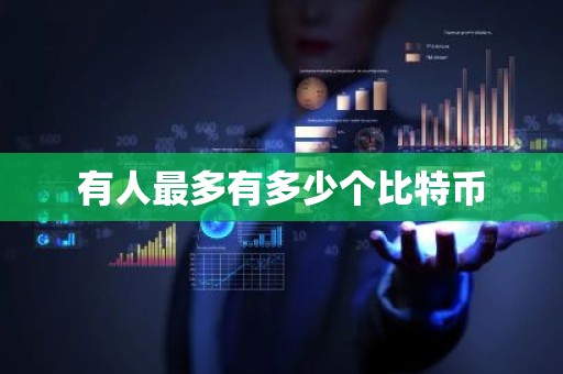 有人最多有多少个比特币