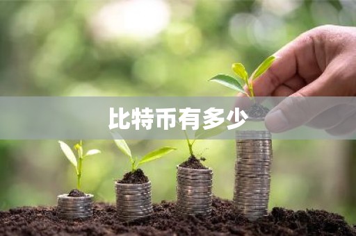 比特币有多少