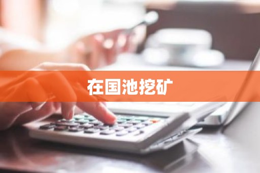 在国池挖矿