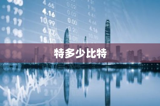 特多少比特