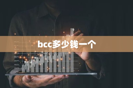 bcc多少钱一个