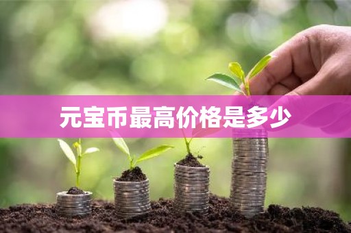 元宝币最高价格是多少